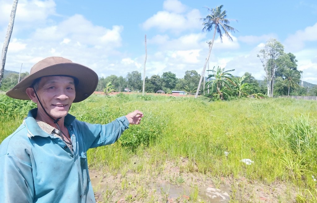 Bài 2: Không có mộ liệt sĩ nào trong khu đất tranh chấp