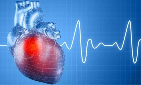 Dấu hiệu cảnh báo hội chứng Brugada gây ngất và đột tử -0