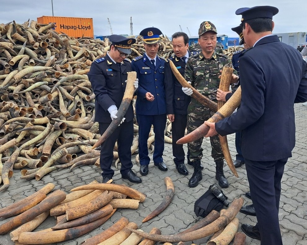 2019_10.jpg -0