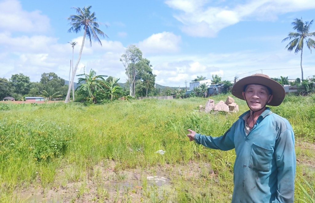 Bài 2: Không có mộ liệt sĩ nào trong khu đất tranh chấp