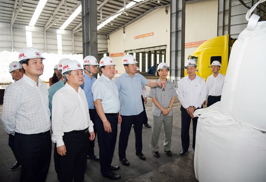 TKV thúc đẩy phát triển tổng thể tổ hợp Dự án Bauxite - Alumin - Nhôm -0