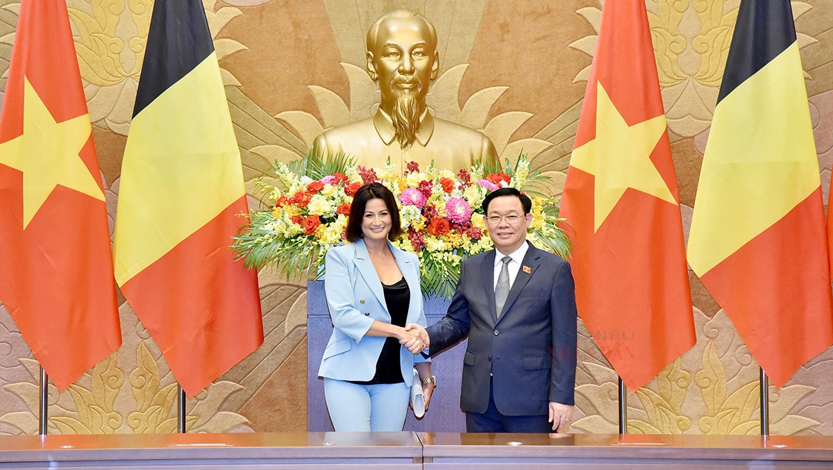 Chủ tịch Quốc hội Vương Đình Huệ đón, hội đàm với Chủ tịch Thượng viện Vương quốc Bỉ