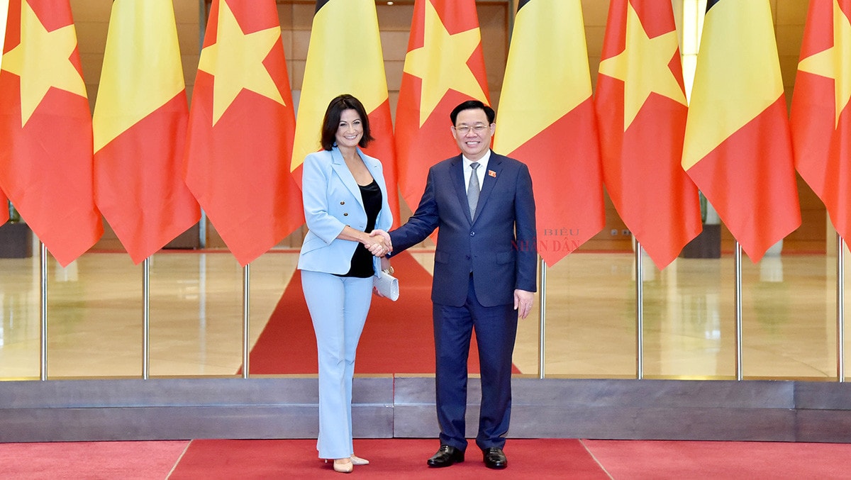 Chủ tịch Quốc hội Vương Đình Huệ đón, hội đàm với Chủ tịch Thượng viện Vương quốc Bỉ