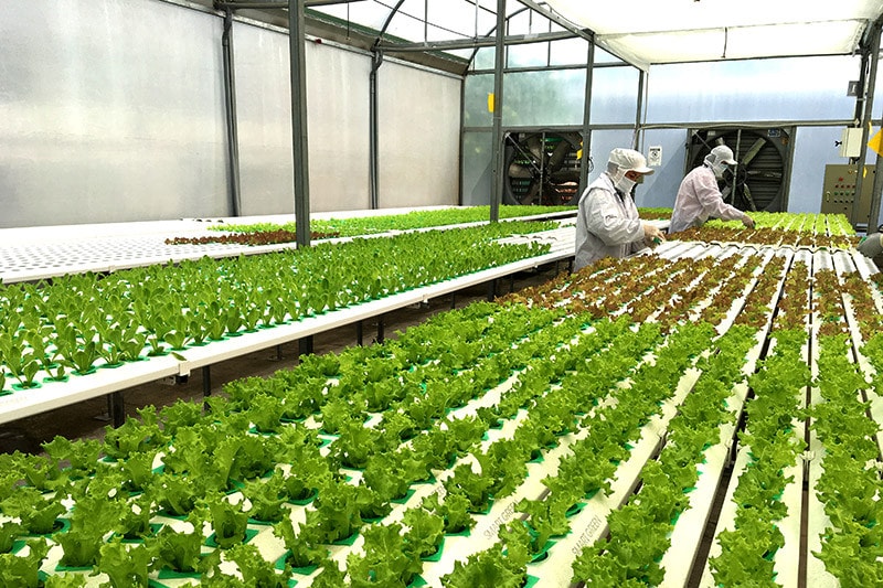 1,6 triệu lao động nông thôn Đồng bằng Sông Cửu Long sẽ được đào tạo, chuyển đổi nghề -0