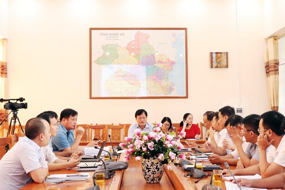Nghệ An: Duy trì và nhân rộng mô hình bảo vệ, khai thác và chế biến cây măng Loi -0