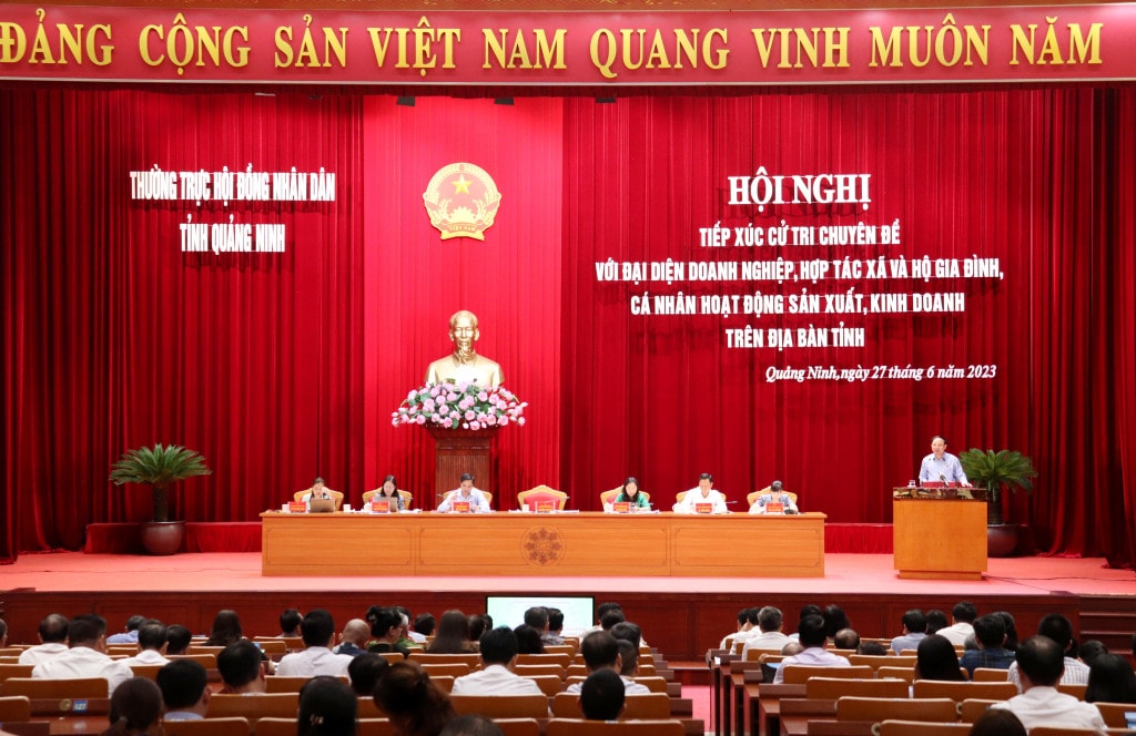 HĐND tỉnh tổ chức hội nghị tiếp xúc chuyên đề với cử tri là đại diện doanh nghiệp, hợp tác xã, hộ gia đình và cá nhân hoạt động sản xuất và kinh doanh trên địa bàn - ảnh: Q.M.G
