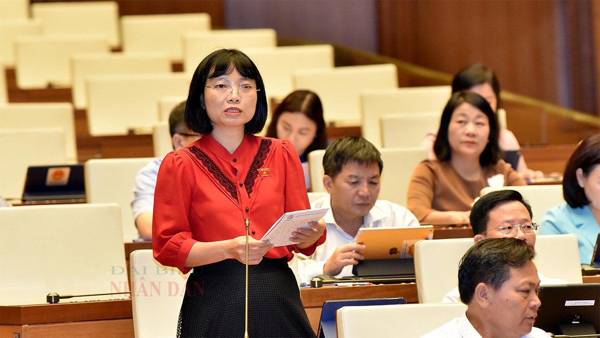 Cấp một loại giấy tờ phù hợp với thực tiễn người gốc Việt Nam nhưng chưa xác định được quốc tịch Việt Nam