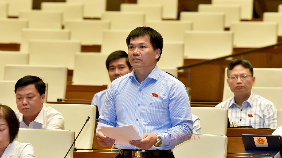 Sử dụng đất phải mang lại lợi ích cao nhất cho đất nước và địa phương -0