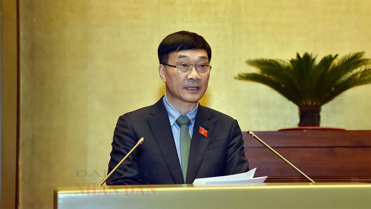 Sử dụng đất phải mang lại lợi ích cao nhất cho đất nước và địa phương -0