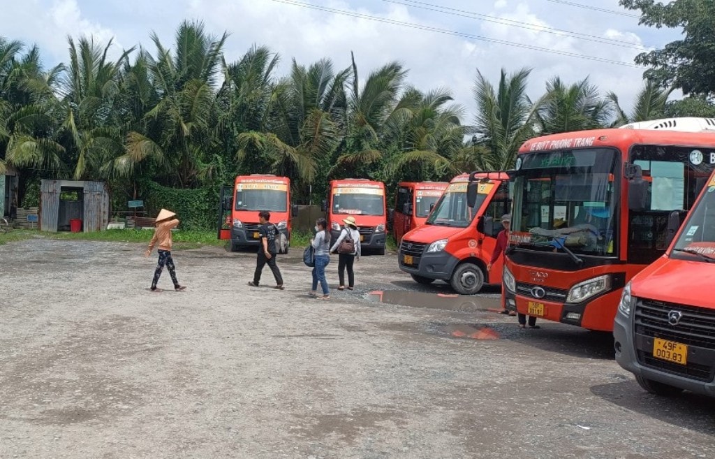 TP Cần Thơ có những tuyến xe buýt nào đang hoạt động?