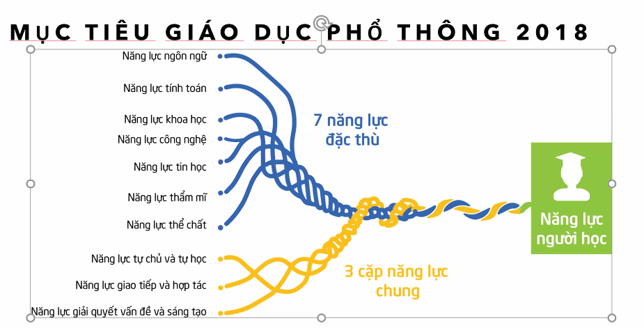 Thế giới triển khai các mô hình dạy học tích hợp thế nào? -0