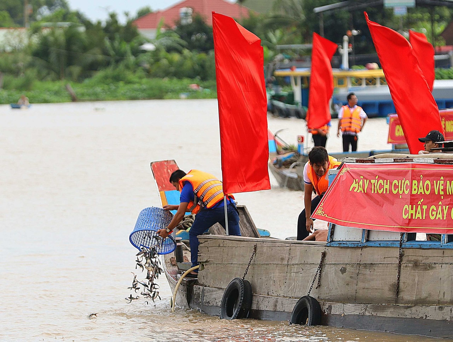 Thả 1 triệu cá giống xuống sông Hậu tái tạo nguồn lợi thủy sản -0
