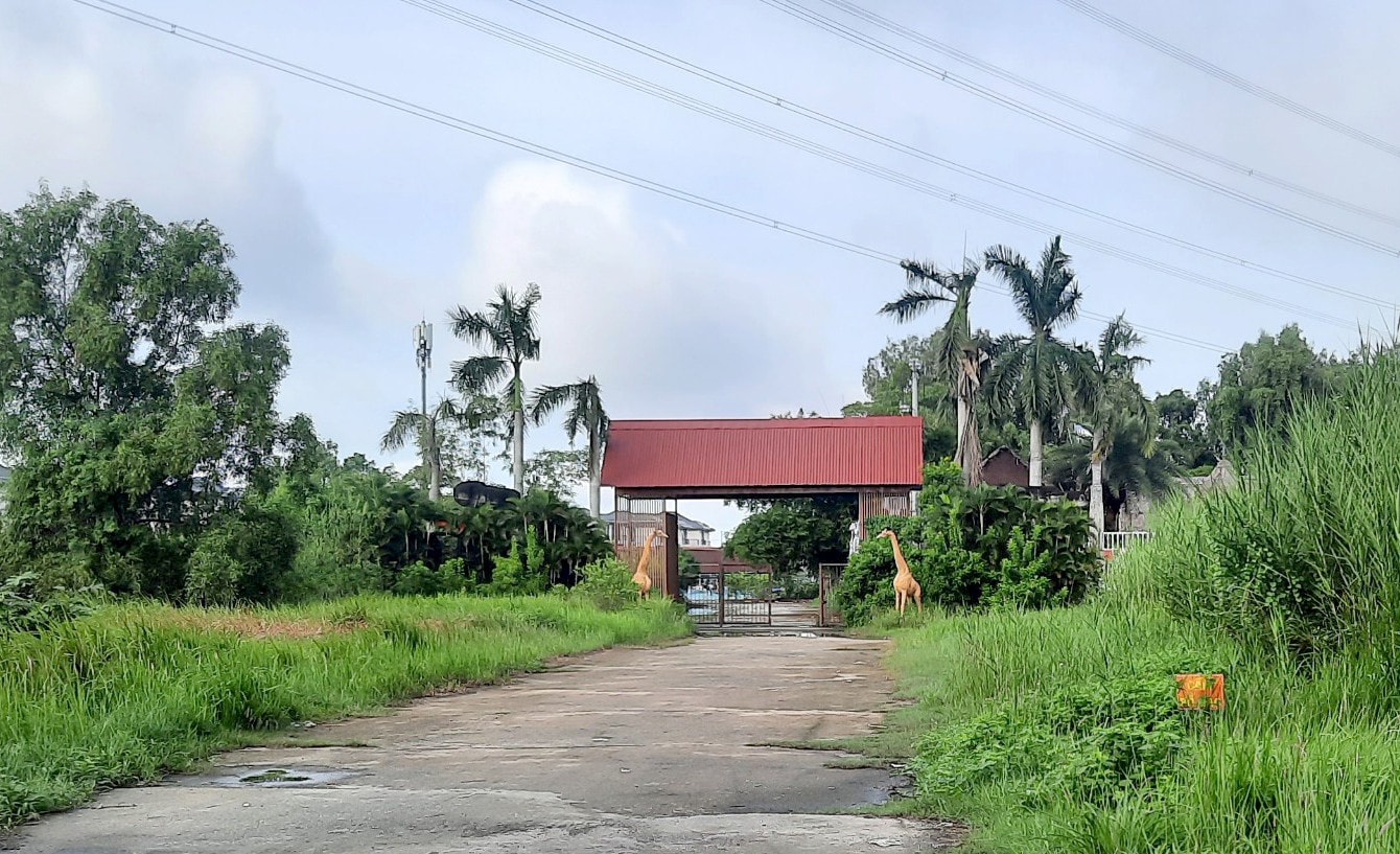 TP. Hồ Chí Minh: Nhiều đơn vị liên quan đến vi phạm quản lý sử dụng đất dọc đường Nguyễn Hữu Thọ