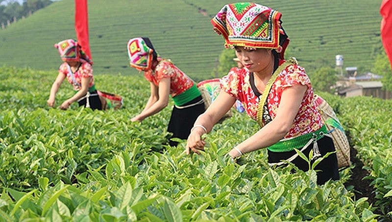 Quy định mới về hỗ trợ đất sản xuất cho hộ đồng bào dân tộc thiểu số có hoàn cảnh khó khăn -0
