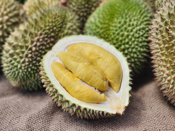 sau rieng.png -0