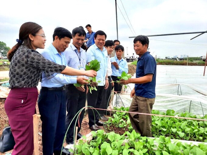 HTX Sản xuất và kinh doanh dịch vụ nông nghiệp Văn Đức đang triển khai Dự án An toàn thực phẩm vì sự phát triển 