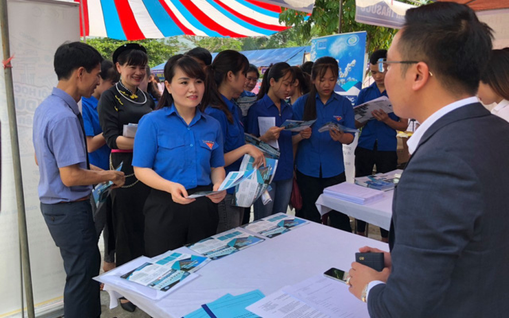 Tuyên Quang hoàn thành 83% kế hoạch kết nối việc làm cho lao động -0