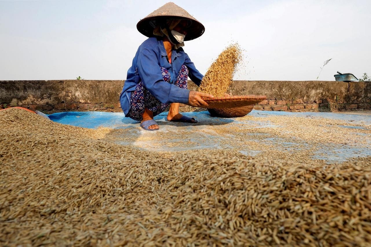 Giá gạo tăng làm dấy lên nỗi lo về nguồn cung tại Châu Á -0
