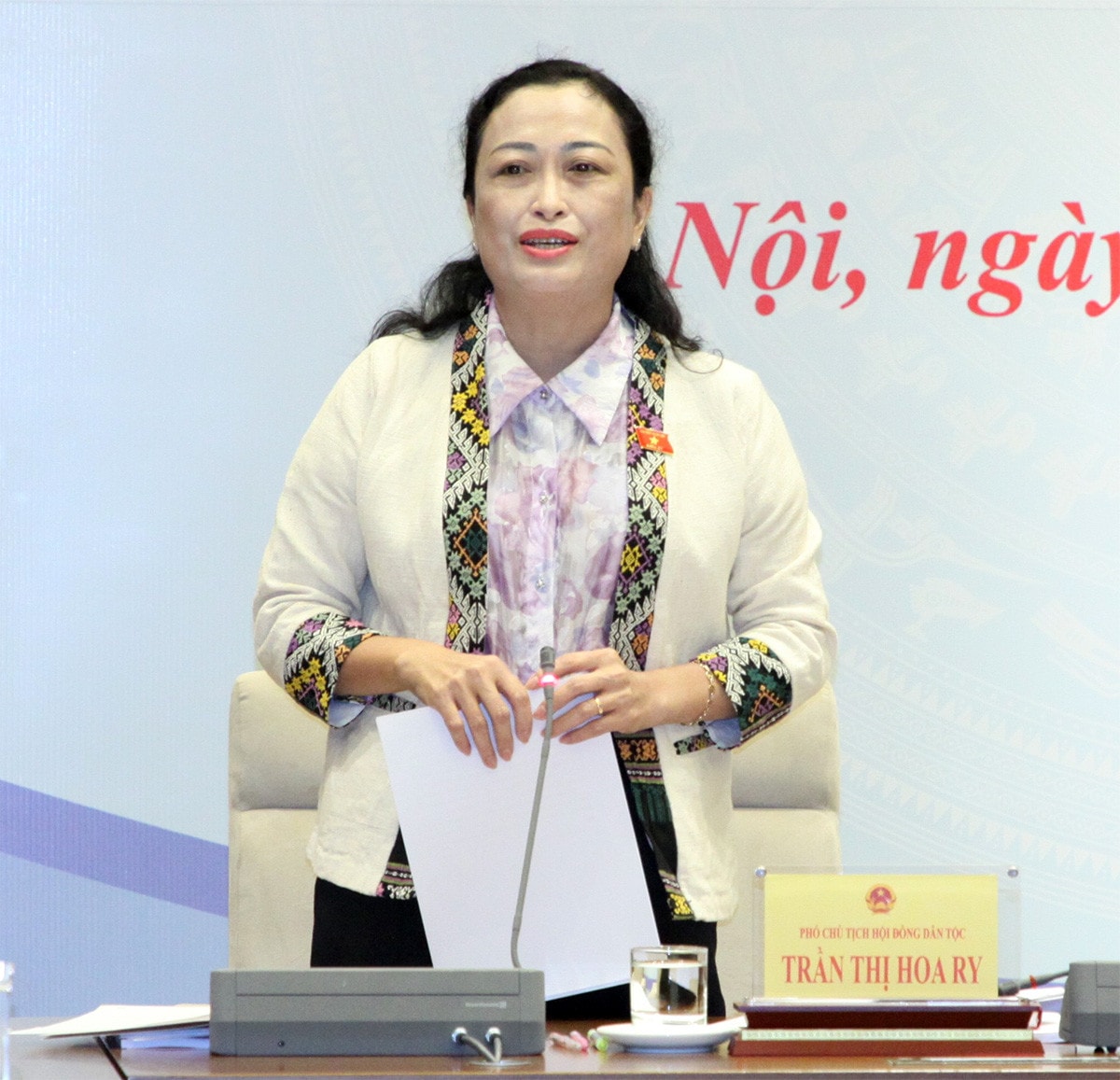 Tham vấn tình hình thực hiện chính sách giáo dục, đào tạo vùng đồng bào dân tộc thiểu số và miền núi -6