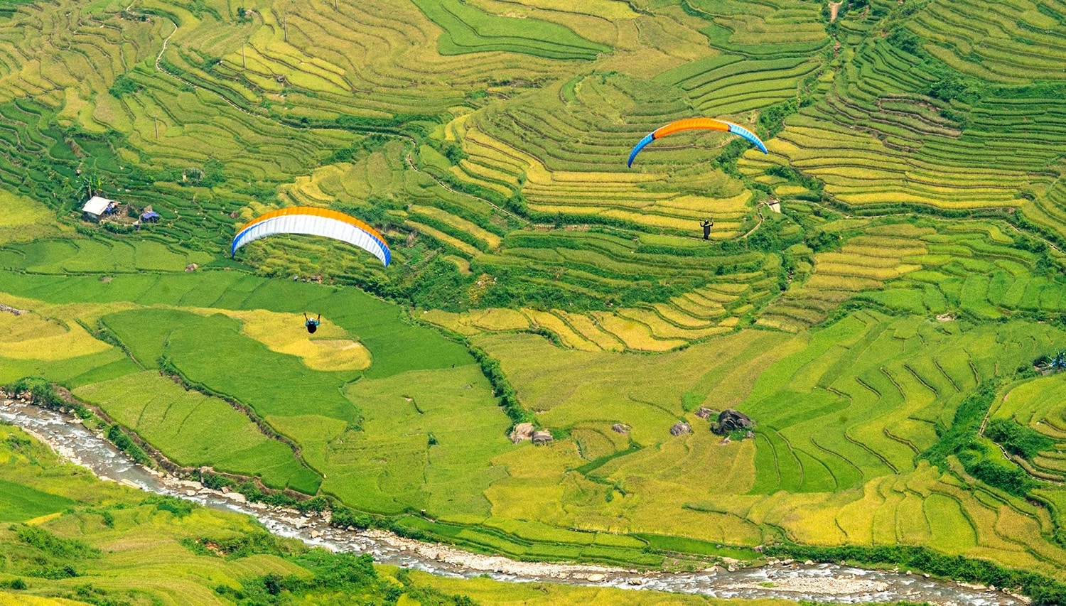 Khai mạc festival dù lượn “Bay trên mùa vàng” năm 2023 -0