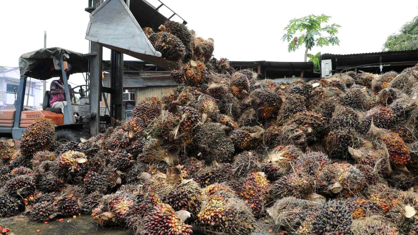 Malaysia tăng cường xuất khẩu dầu cọ sang Trung Quốc -0