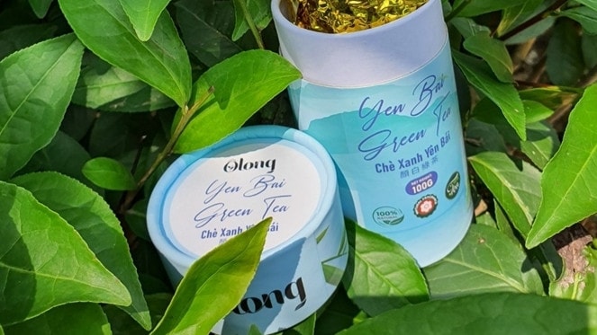 Sản phẩm chè xanh của Hợp tác xã sản xuất chè Bảo Hưng (Trấn Yên) được xuất sang thị trường nước Anh. Ảnh: ITN