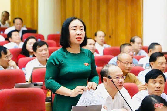 Trưởng Ban Kinh tế - Ngân sách HĐND tỉnh Hà Tĩnh NGUYỄN THỊ THÚY NGA