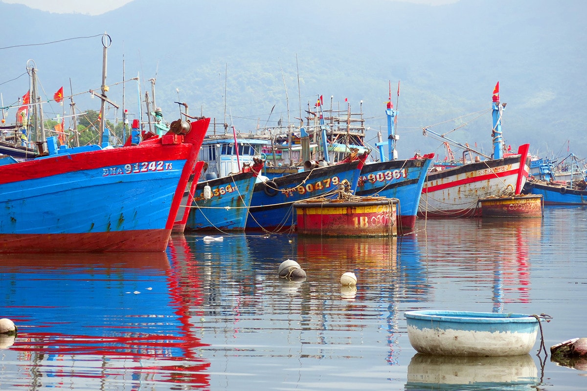 Đà Nẵng triển khai các biện pháp mạnh chống khai thác IUU