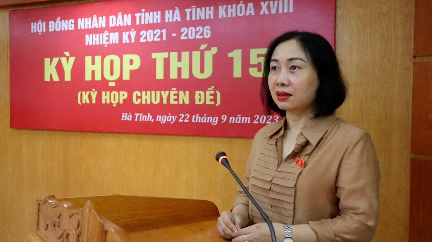Hà Tĩnh: Thông qua 8 nghị quyết tại Kỳ họp chuyên đề -0