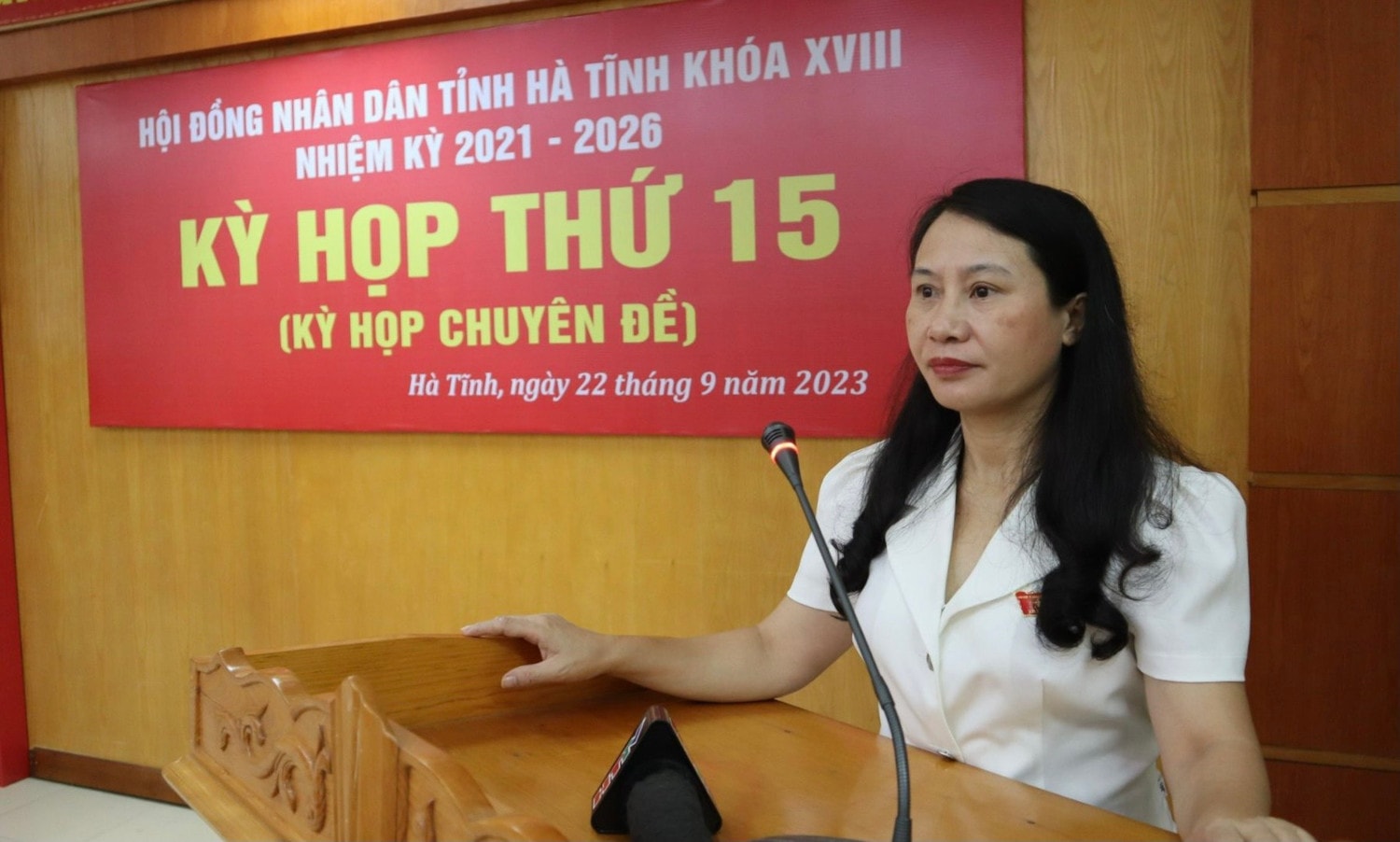Hà Tĩnh: Thông qua 8 nghị quyết tại Kỳ họp chuyên đề -0