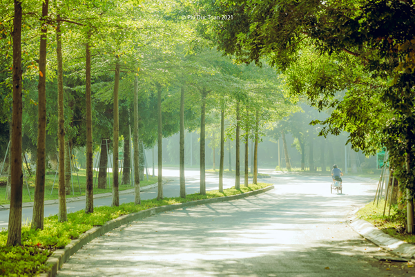 Khi thiên nhiên trở thành liều thuốc chữa bệnh -0