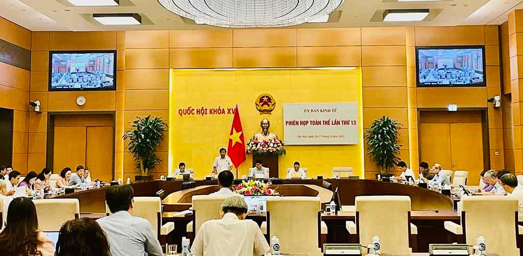 Ủy ban Kinh tế thẩm tra dự án Luật sửa đổi, bổ sung một số điều của Luật Đấu giá tài sản -0