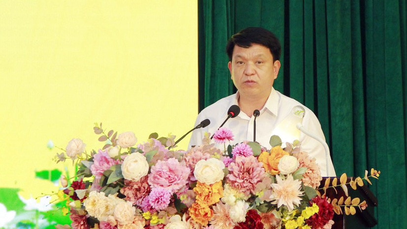 Huyện Đông Anh xây dựng nông thôn mới gắn với phát triển đô thị -0