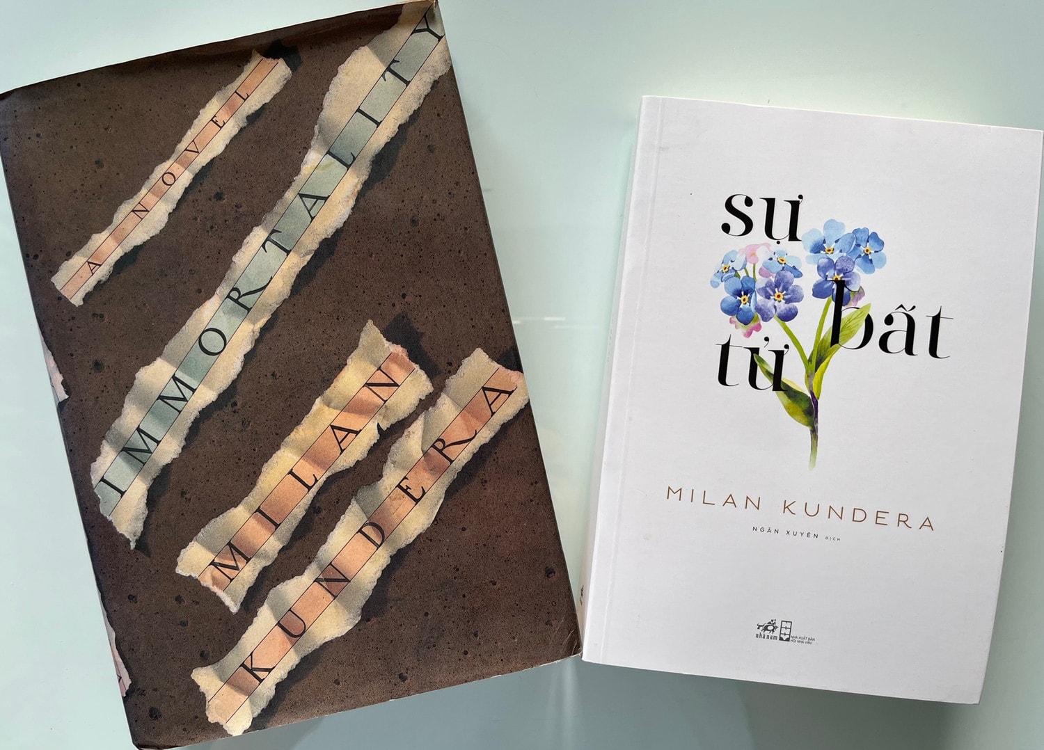 Đọc sách: Milan Kundera lên chuyến tàu bất tử ảnh 2