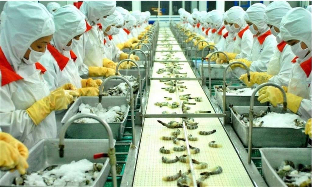 Xuất khẩu thủy sản sang Mỹ, Trung Quốc, Nhật Bản vượt mốc 1 tỷ USD -0