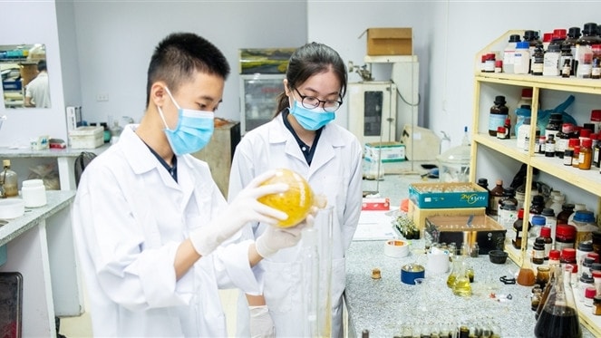 Quy mô đào tạo sau đại học còn rất thấp và không tăng trong nhiều năm