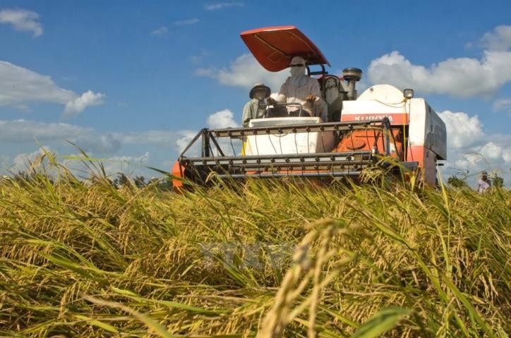 Phát huy vai trò của các hợp tác xã kiểu mới -0
