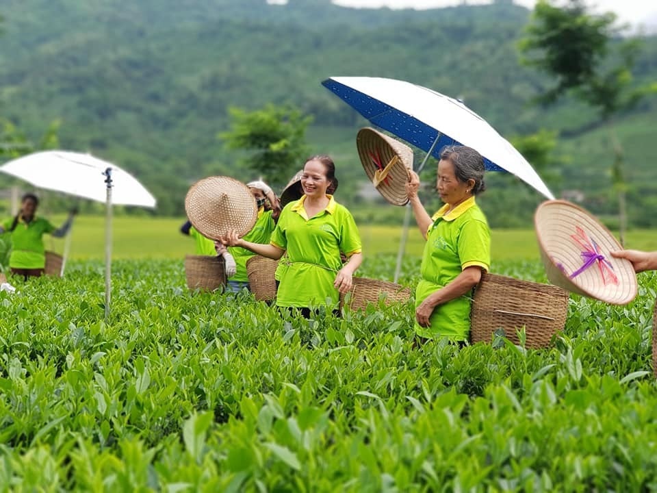 Bộ mặt nông thôn thay đổi rõ nét nhờ nông thôn mới -0