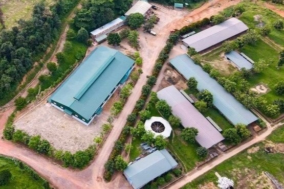 Chưa được cấp phép, dự án Trường đua ngựa Thiên Mã – Madagui xây 16 công trình, bị phạt 80 triệu đồng, buộc trả lại hiện trạng ban đầu