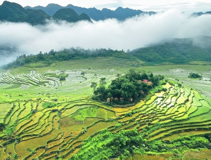 Du lịch xanh - hướng phát triển bền vững -0