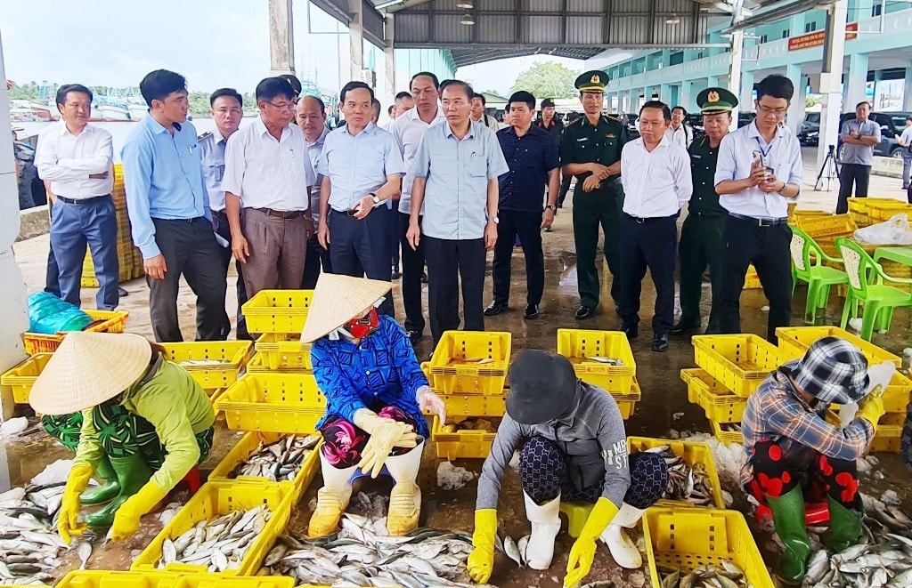 Kiên Giang: Ngăn chặn, xử lý tàu cá, ngư dân khai thác hải sản bất hợp pháp 
