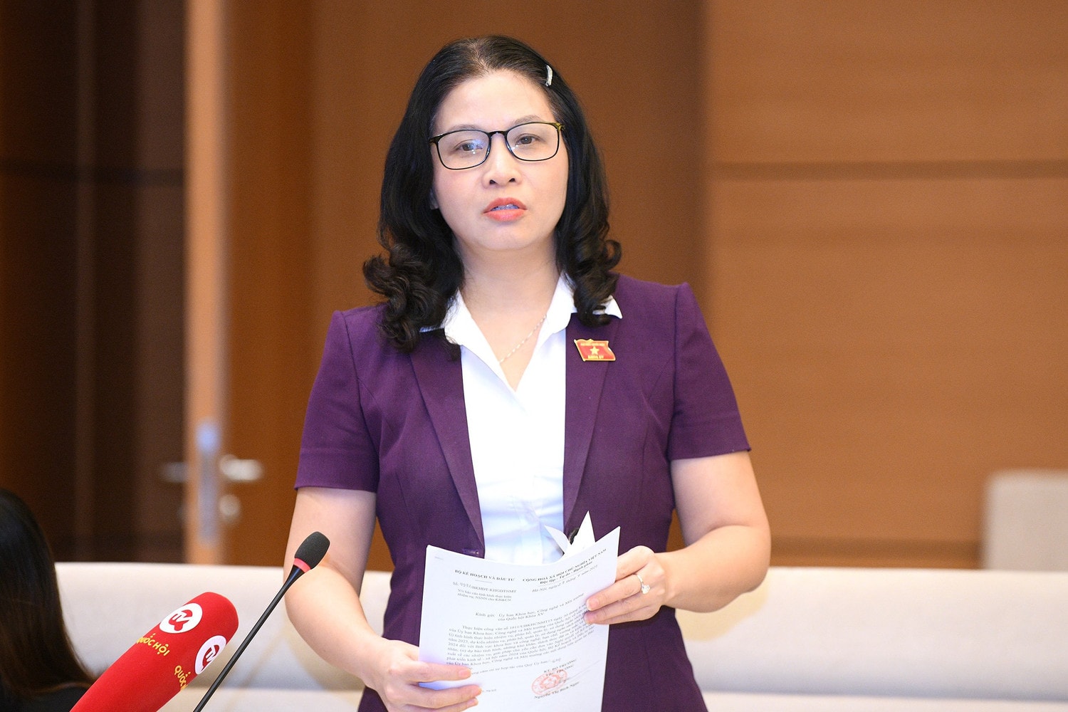 ĐBQH Nguyễn Thị Lan (Hà Nội) cho ý kiến với báo cáo của Chính phủ