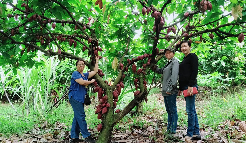 Đồng Nai phát triển nhiều mô hình du lịch sinh thái kết hợp quảng bá sản phẩm OCOP. Nguồn: ITN