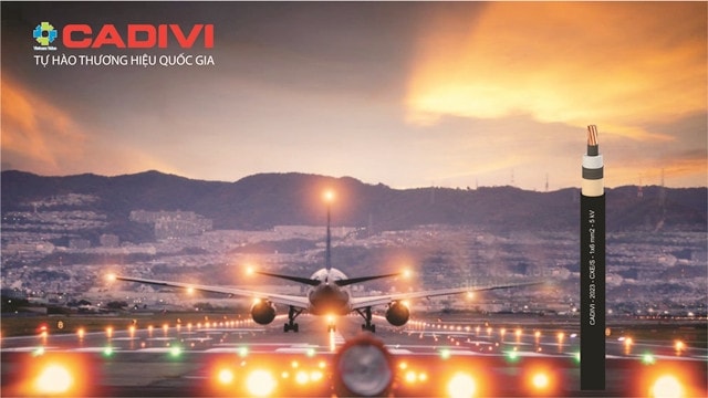 GELEX, VIGLACERA, CADIVI vào Top 25 thương hiệu dẫn đầu Forbes Việt Nam -0