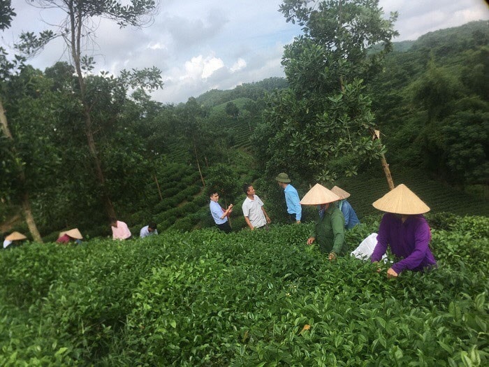 Nhiều chương trình đào tạo nghề tại Thái Nguyên mang lại hiệu quả tích cực -0