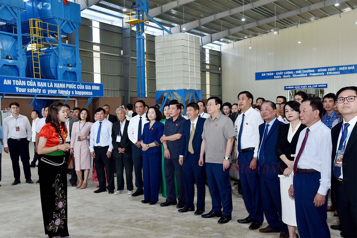 Chủ tịch Quốc hội Vương Đình Huệ dự Lễ khánh thành Nhà máy chế biến cà phê Sơn La