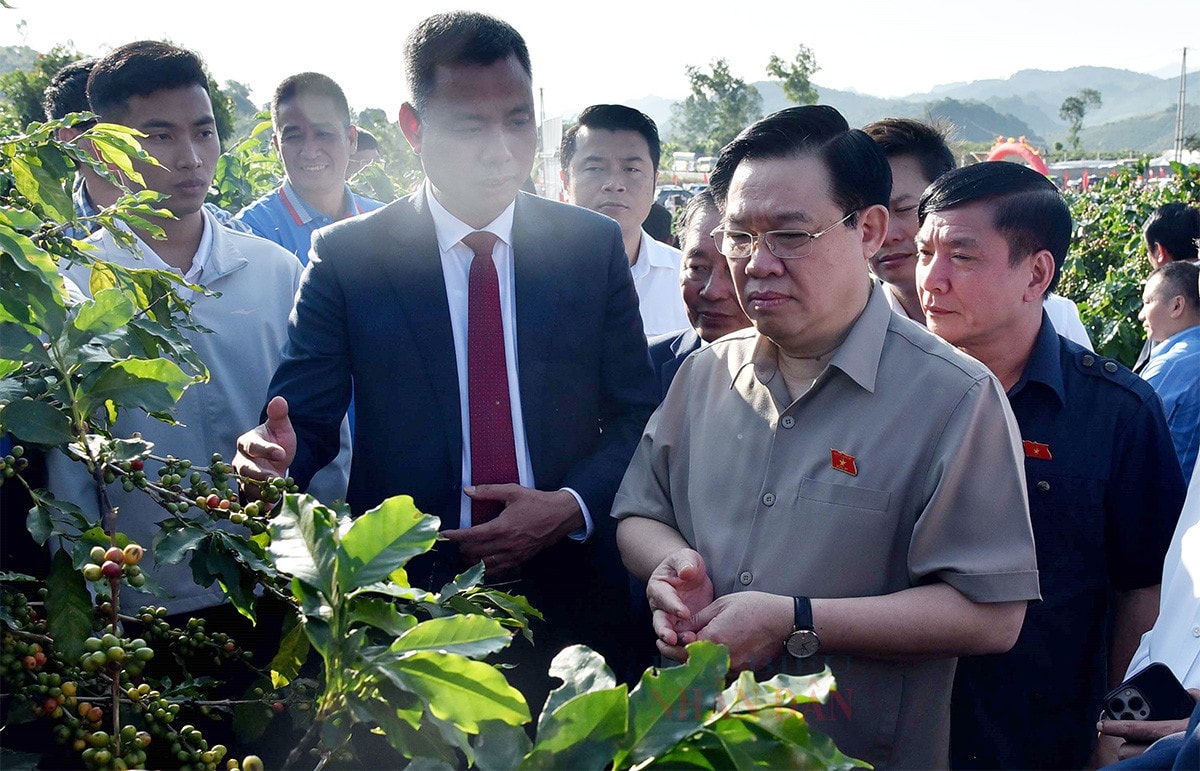 Chủ tịch Quốc hội Vương Đình Huệ dự Lễ khánh thành Nhà máy chế biến cà phê Sơn La -0