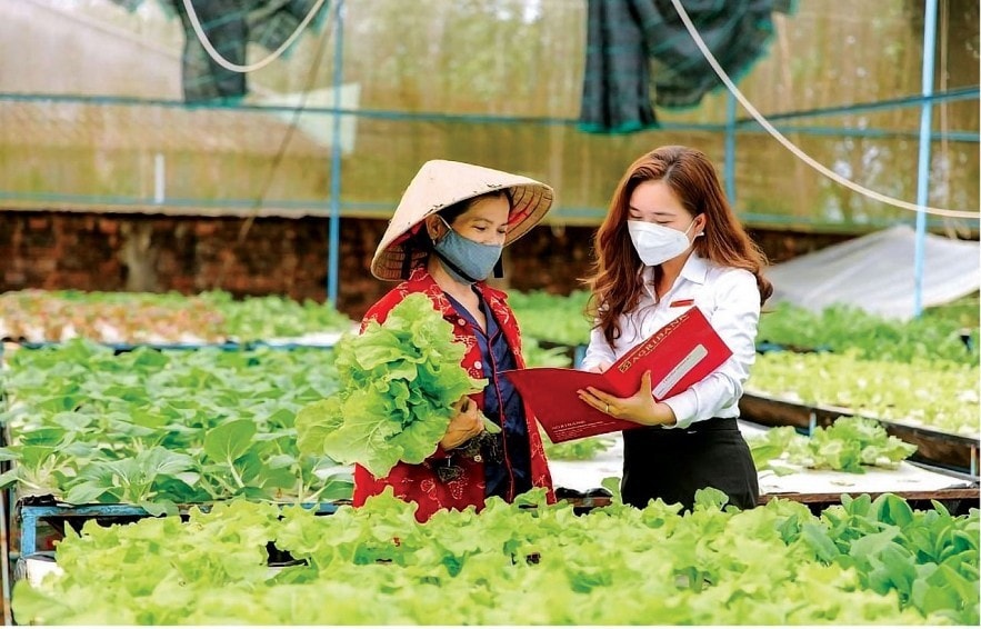 Agribank nỗ lực góp phần phát triển kinh tế tập thể -0