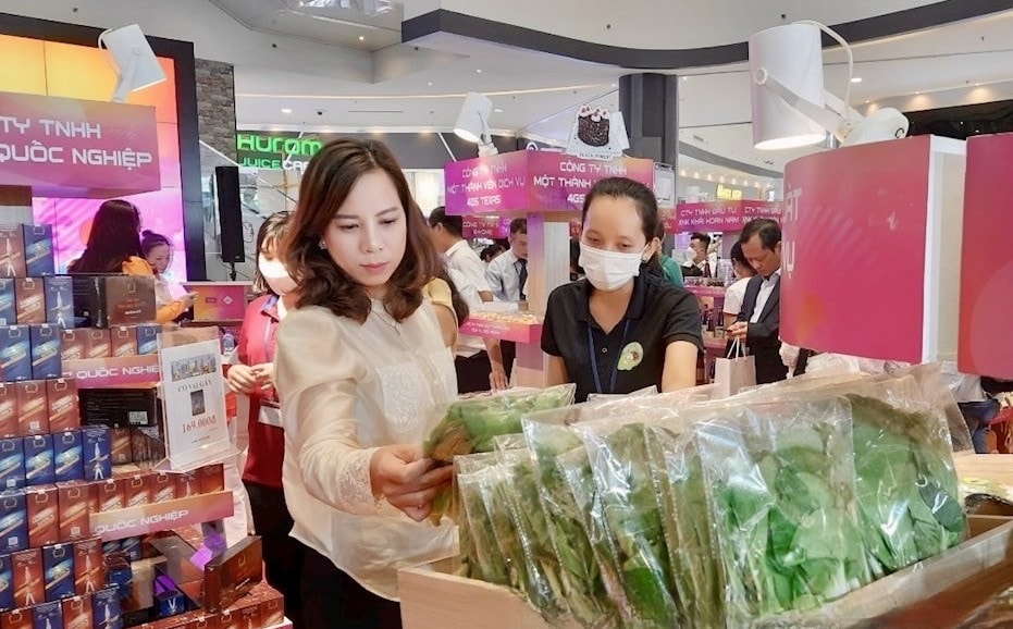 Giới thiệu, quảng bá sản phẩm Việt vào chuỗi siêu thị AEON -0