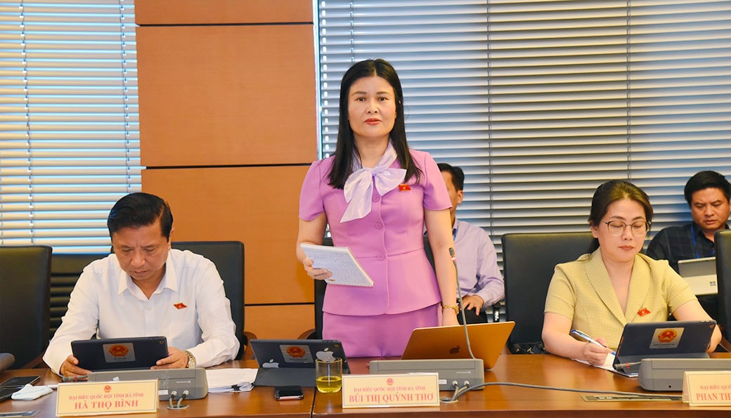 Đoàn ĐBQH tỉnh Hà Tĩnh: Sớm trình phương án về Dự án khai thác quặng mỏ sắt Thạch Khê -0